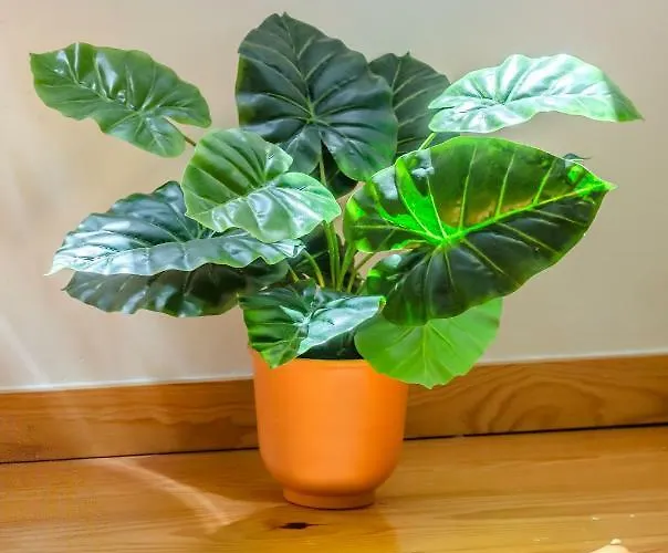 Alfama Charming Apartment *